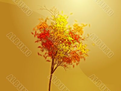 Autumn tree