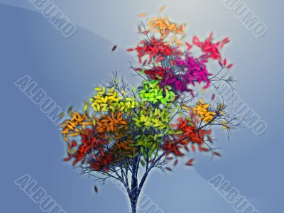 Autumn leafy tree