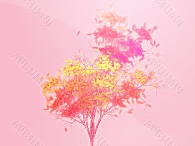 Autumn leafy tree