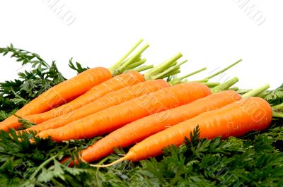 Carrots isolated on a whiteground.