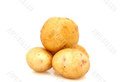 Potatoes isolated on a whiteground.