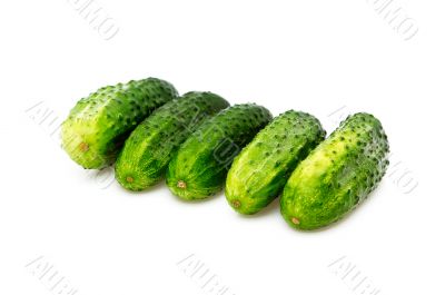 Cucumbers isolated on a whiteground.