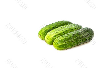 Three cucumbers isolated on a whiteground.