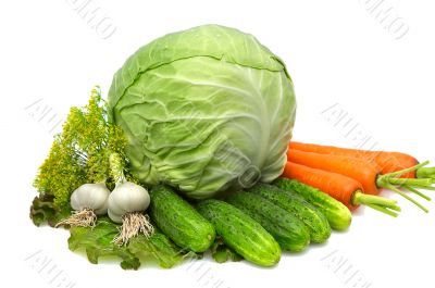 Cabbage,carrot,garlic,cuc umbers,dill,lettuce