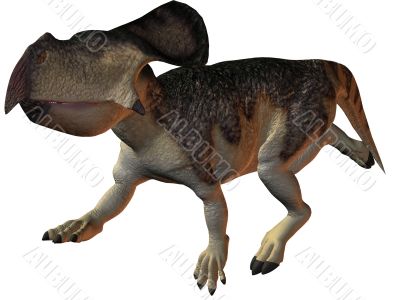 Protoceratops