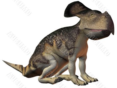 Protoceratops