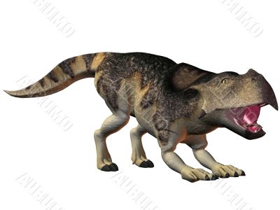 Protoceratops