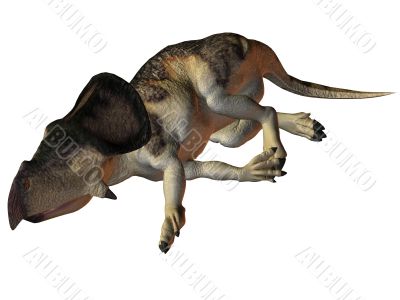 Protoceratops