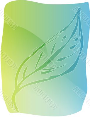 Leaf illustration