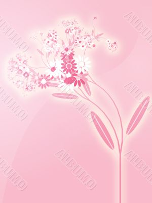 Flowers illustration