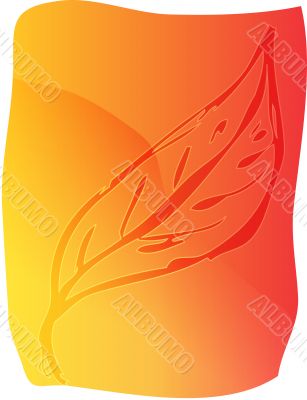 Leaf illustration
