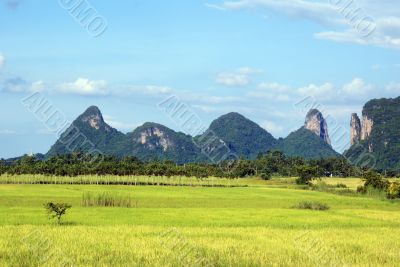 Grass, hills and sky