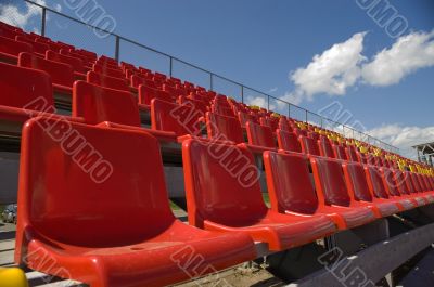 Lines of color seats.