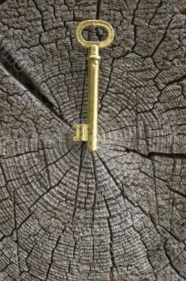 Old key of gold colour.