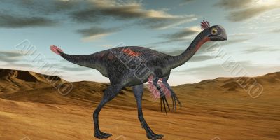 Gigantoraptor erlianensis