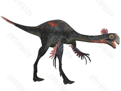 Gigantoraptor erlianensis