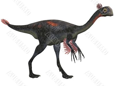 Gigantoraptor erlianensis