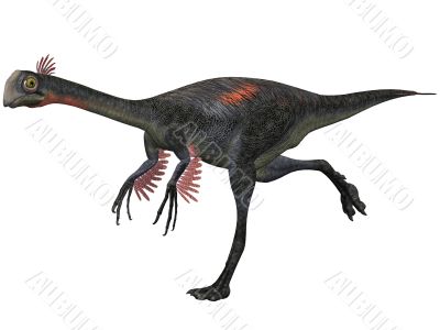 Gigantoraptor erlianensis