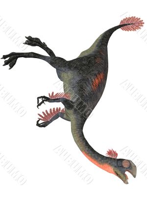 Gigantoraptor erlianensis