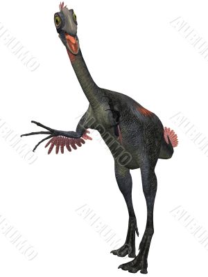 Gigantoraptor erlianensis