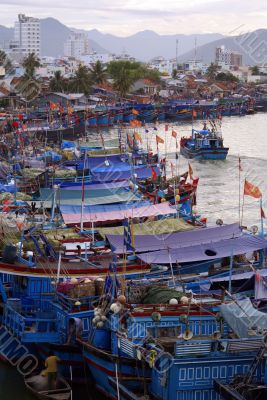 Many boats