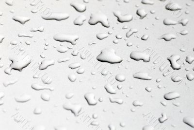 Water Drops