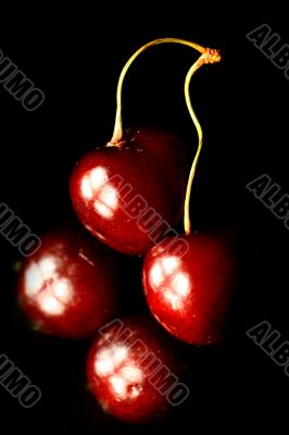 cherry