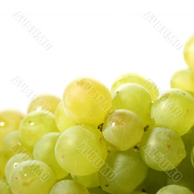 isolated grape