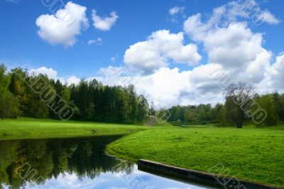 Spring nature landscape