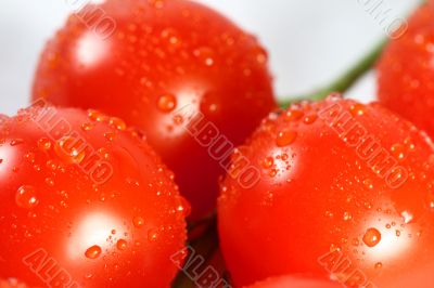 cherry tomato