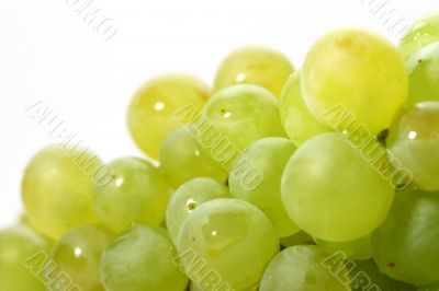 isolated grape