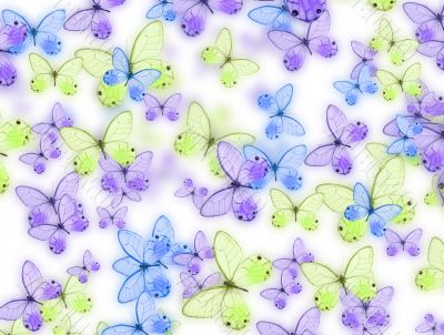 butterfly