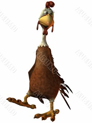 Toon Chicken