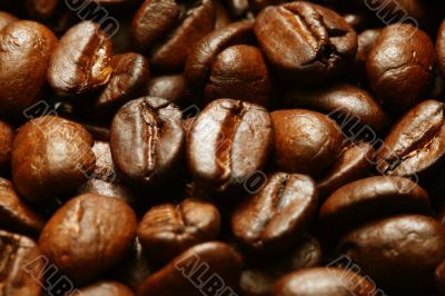 coffee beans