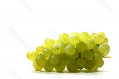 isolated grape