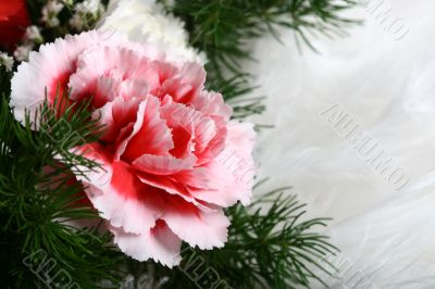 pink flower
