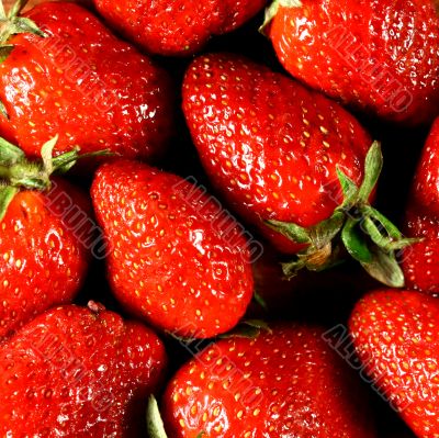strawberry background