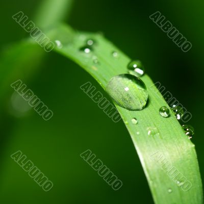 natural waterdrop