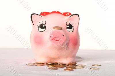 bank