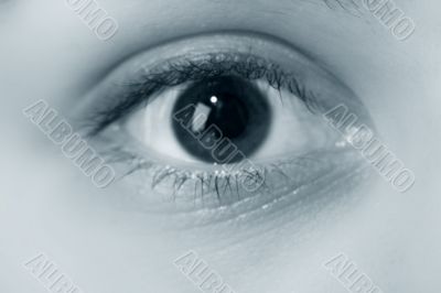 eye