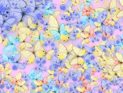 butterfly