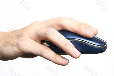 mouse