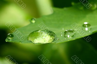 natural waterdrop