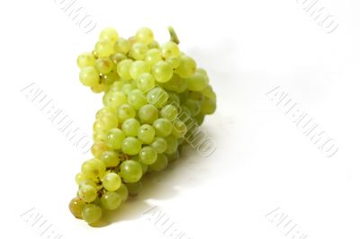 isolated grape