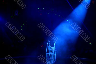 lights