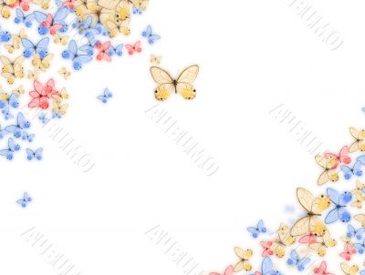 butterfly