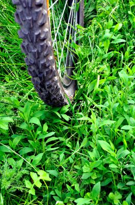 Bike on grass