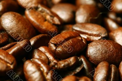 coffee beans