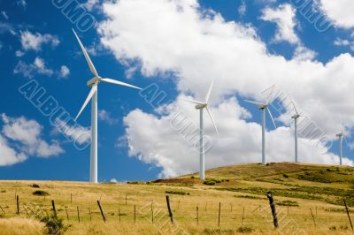 Wind Turbines in a Field