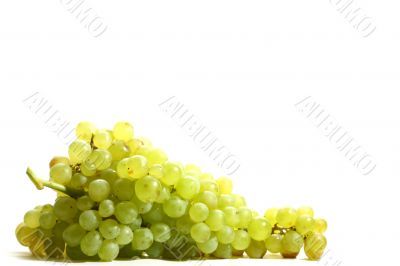 isolated grape